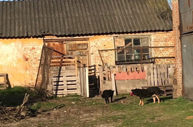 глухів 3