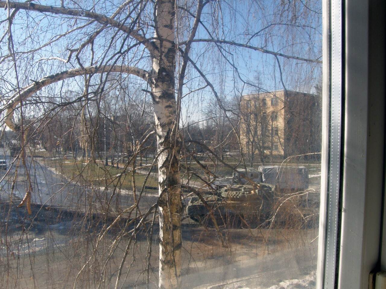 пасюга з вікна
