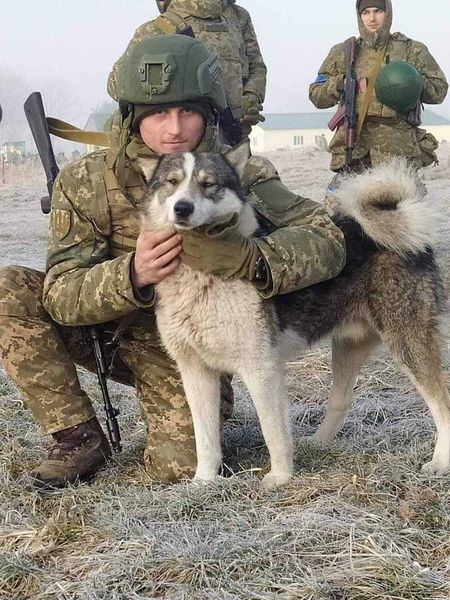 гладун з собакою