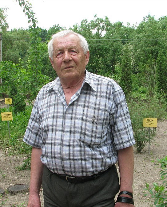 савченко дерева